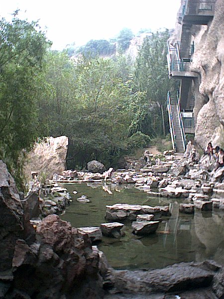 Rodamon 1006 Lanzh35
