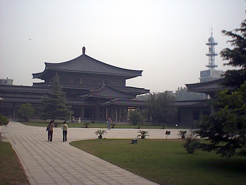 Rodamon 1140 Xian 29