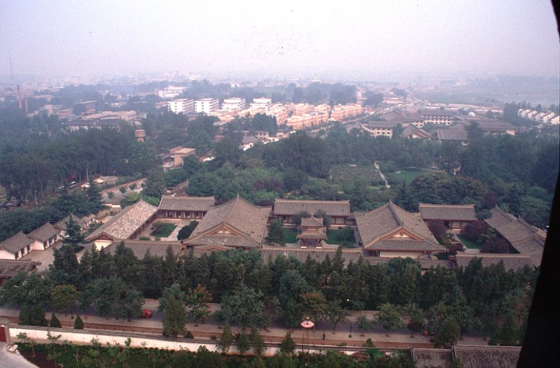 Rodamon 1148
