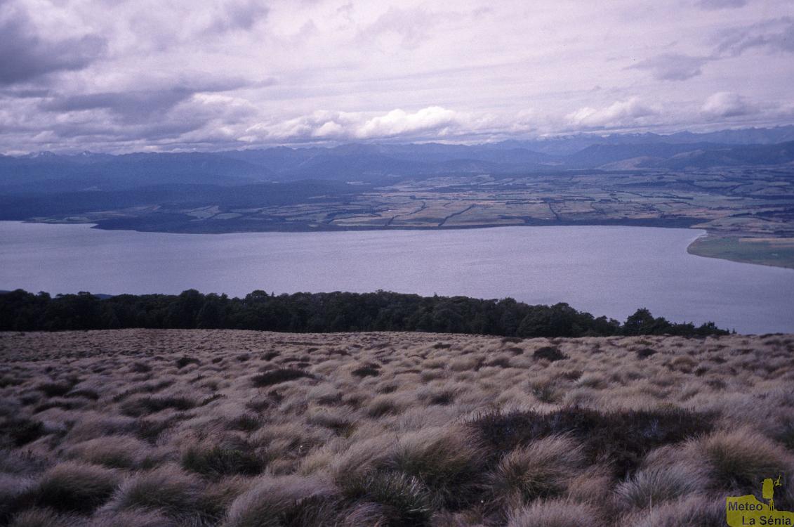 NZ 0623