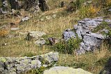 La travessa dels Pirineus per la A.R.P.