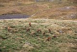 La travessa dels Pirineus per la A.R.P.