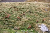 La travessa dels Pirineus per la A.R.P.