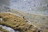 La travessa dels Pirineus per la A.R.P.