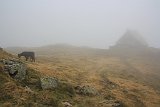 La travessa dels Pirineus per la A.R.P.