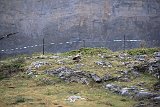 La travessa dels Pirineus per la A.R.P.