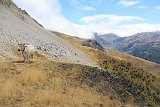 La travessa dels Pirineus per la A.R.P.