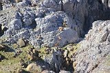 La travessa dels Pirineus per la A.R.P.