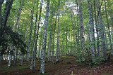 La travessa dels Pirineus per la A.R.P.