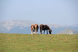 La travessa dels Pirineus per la A.R.P.