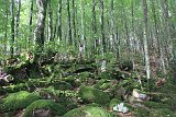 La travessa dels Pirineus per la A.R.P.