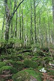 La travessa dels Pirineus per la A.R.P.