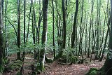 La travessa dels Pirineus per la A.R.P.