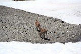 La travessa de Sierra Nevada