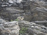 Volta al Massis de Monte Perdido