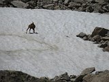 Volta al Circ dels Banys de Panticosa i els Inferns