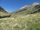 La Travessa del Pirineu pel GR-11