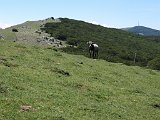 La travessa dels Pirineus per la A.R.P.