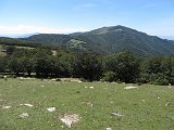 La travessa dels Pirineus per la A.R.P.