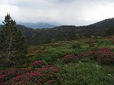 La travessa dels Pirineus per la A.R.P.