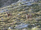 La travessa dels Pirineus per la A.R.P.