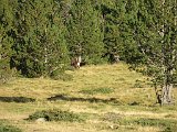 La travessa dels Pirineus per la A.R.P.