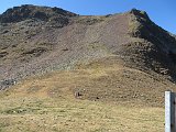 La travessa dels Pirineus per la A.R.P.