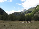 La travessa dels Pirineus per la A.R.P.