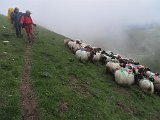 La travessa dels Pirineus per la A.R.P.