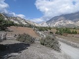 IMG 5291