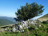 Voltetes per Navarra. Pirineus occidentals