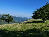 Voltetes per Navarra. Pirineus occidentals