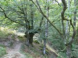 Voltetes per Navarra. Pirineus occidentals