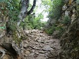 Voltetes per Navarra. Pirineus occidentals