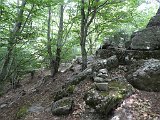 Voltetes per Navarra. Pirineus occidentals