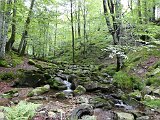 Voltetes per Navarra. Pirineus occidentals