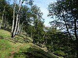 Voltetes per Navarra. Pirineus occidentals