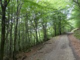 Voltetes per Navarra. Pirineus occidentals