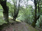 Voltetes per Navarra. Pirineus occidentals