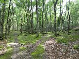 Voltetes per Navarra. Pirineus occidentals