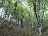 Voltetes per Navarra. Pirineus occidentals