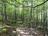 Voltetes per Navarra. Pirineus occidentals