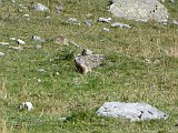 La travessa dels Pirineus per la A.R.P.