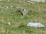 La travessa dels Pirineus per la A.R.P.