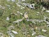 La travessa dels Pirineus per la A.R.P.