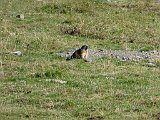 La travessa dels Pirineus per la A.R.P.