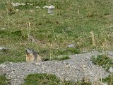 La travessa dels Pirineus per la A.R.P.