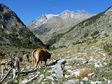 La travessa dels Pirineus per la A.R.P.