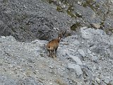 La travessa dels Pirineus per la A.R.P.