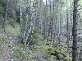 La travessa dels Pirineus per la A.R.P.